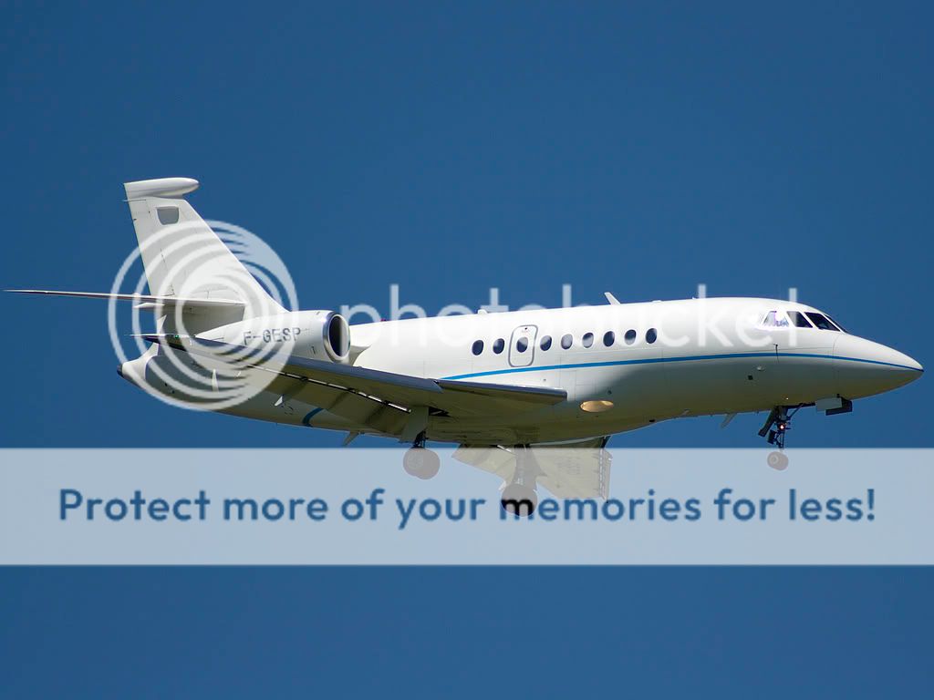f-gesp.jpg
