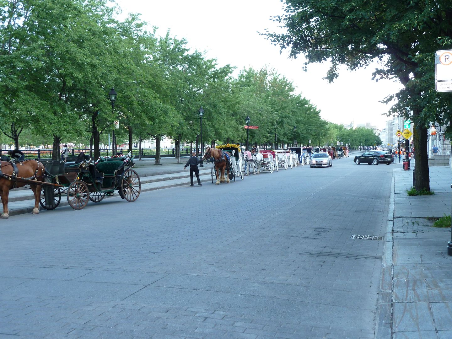 P1010007.jpg