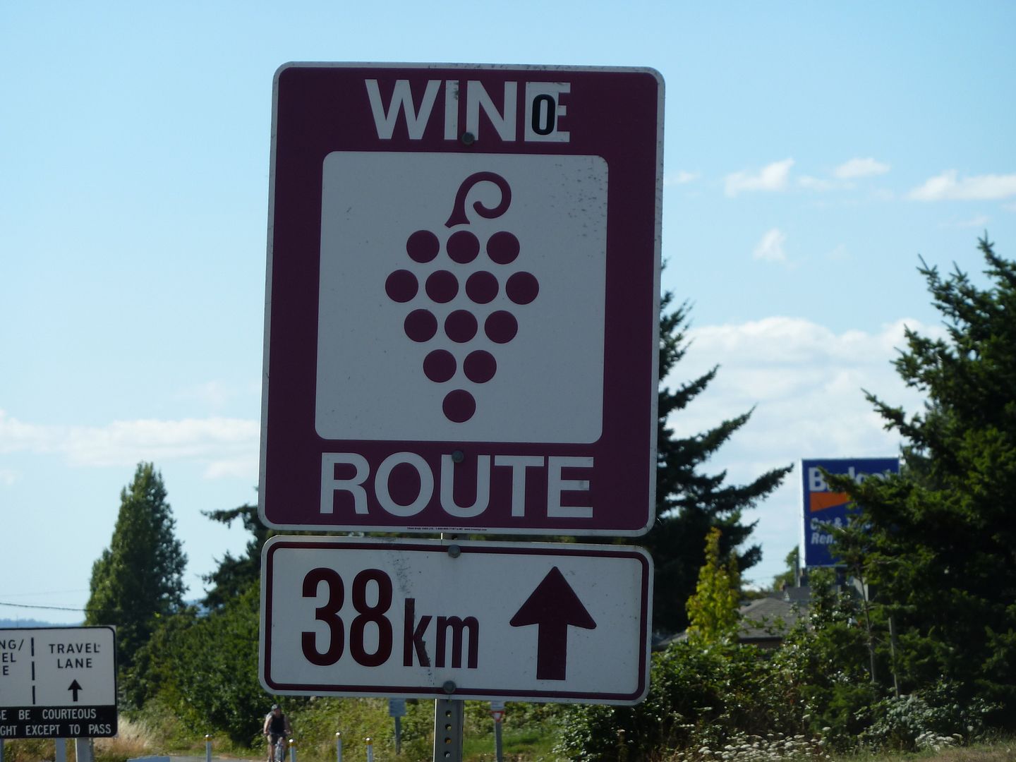P1010294.jpg