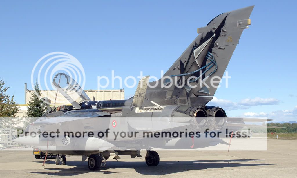 IMGP9352.jpg