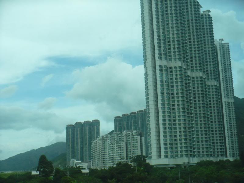 P1000348.jpg