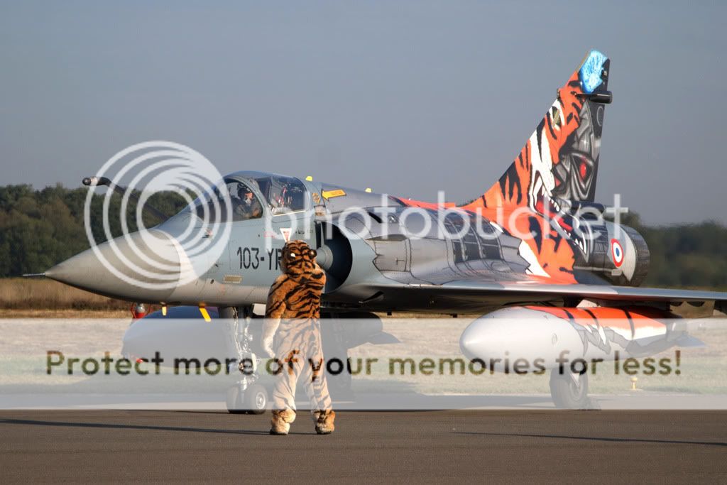 200tiger.jpg