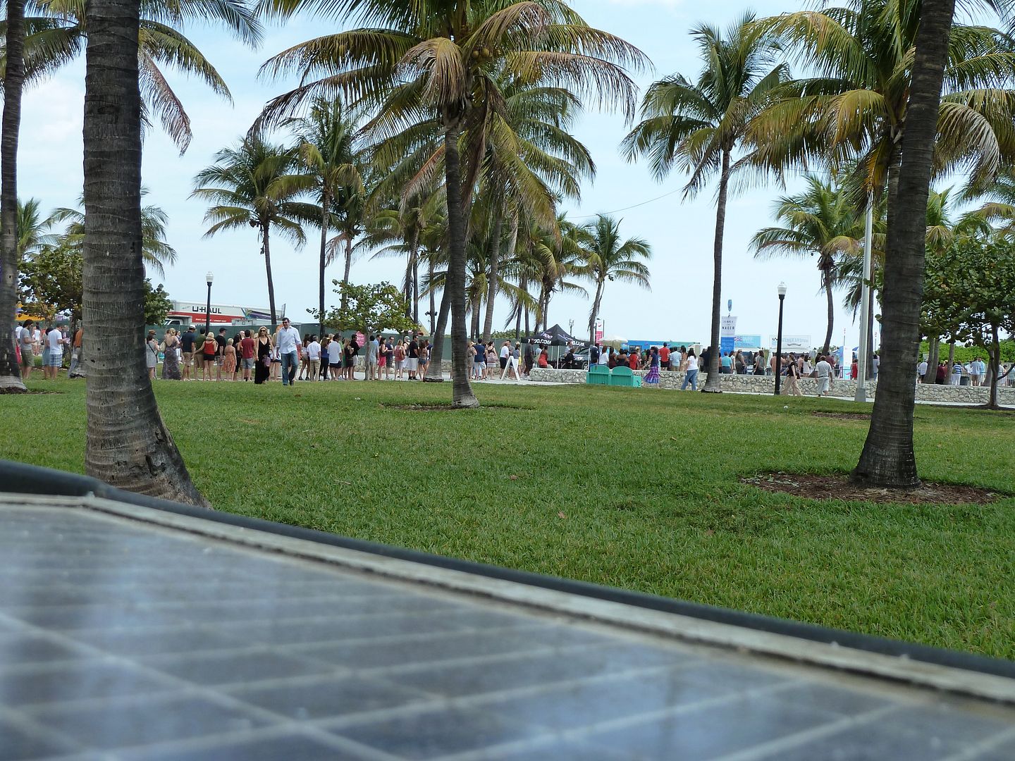 P1010799.jpg