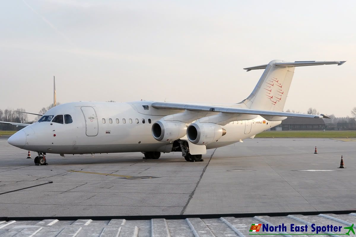 D-AMAJ_15-01-11_TSF_1.jpg