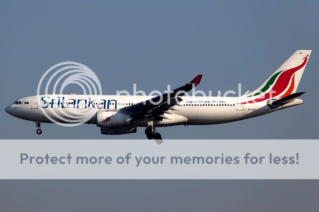 4R-ALB.jpg