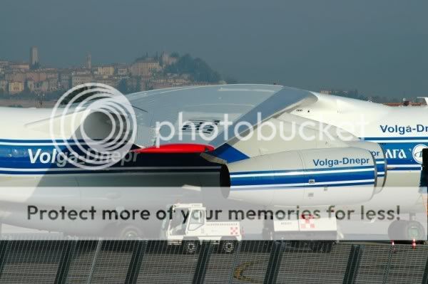 DSC_8595.jpg