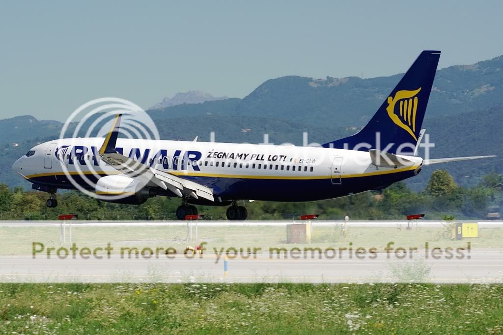 EI-DLGBgy2507B.jpg