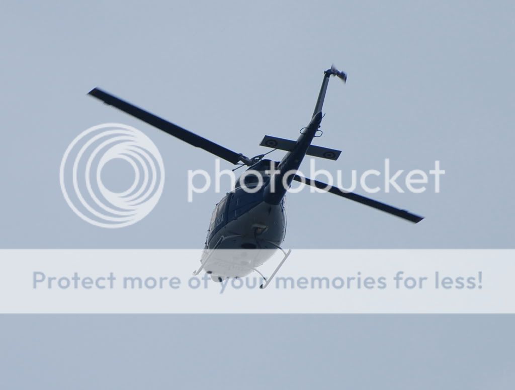 DSC_8645.jpg