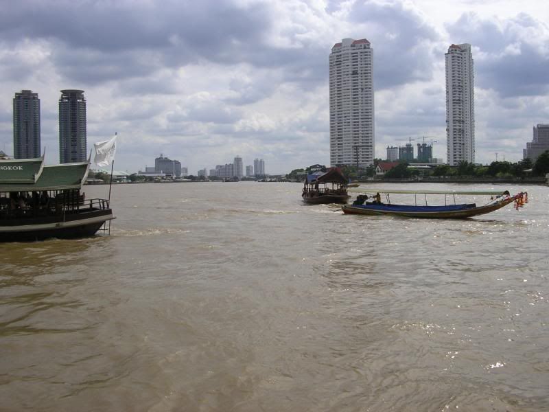 IMGP0339.jpg