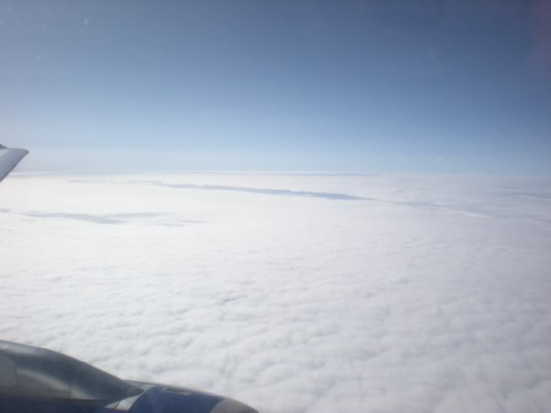 DSCN5107.jpg