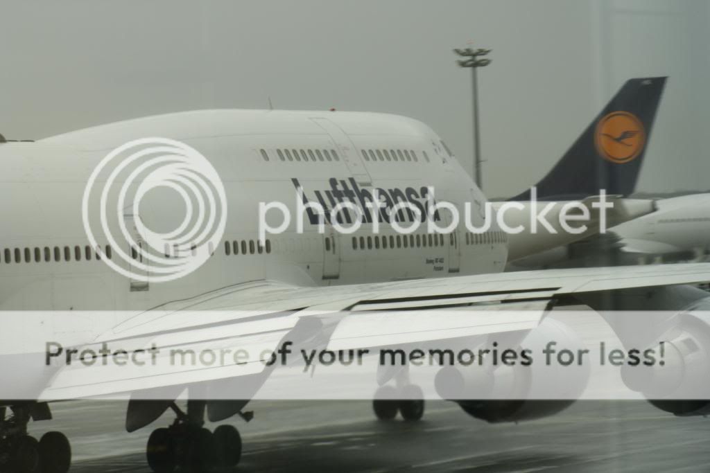 _MG_4662.jpg