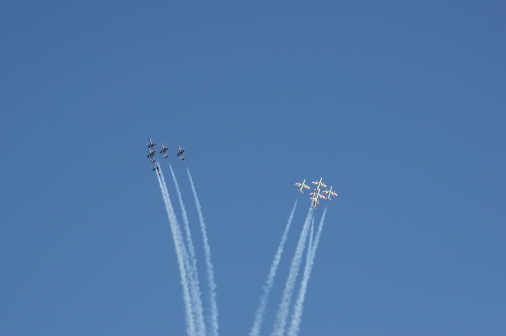 DSC_0871.jpg