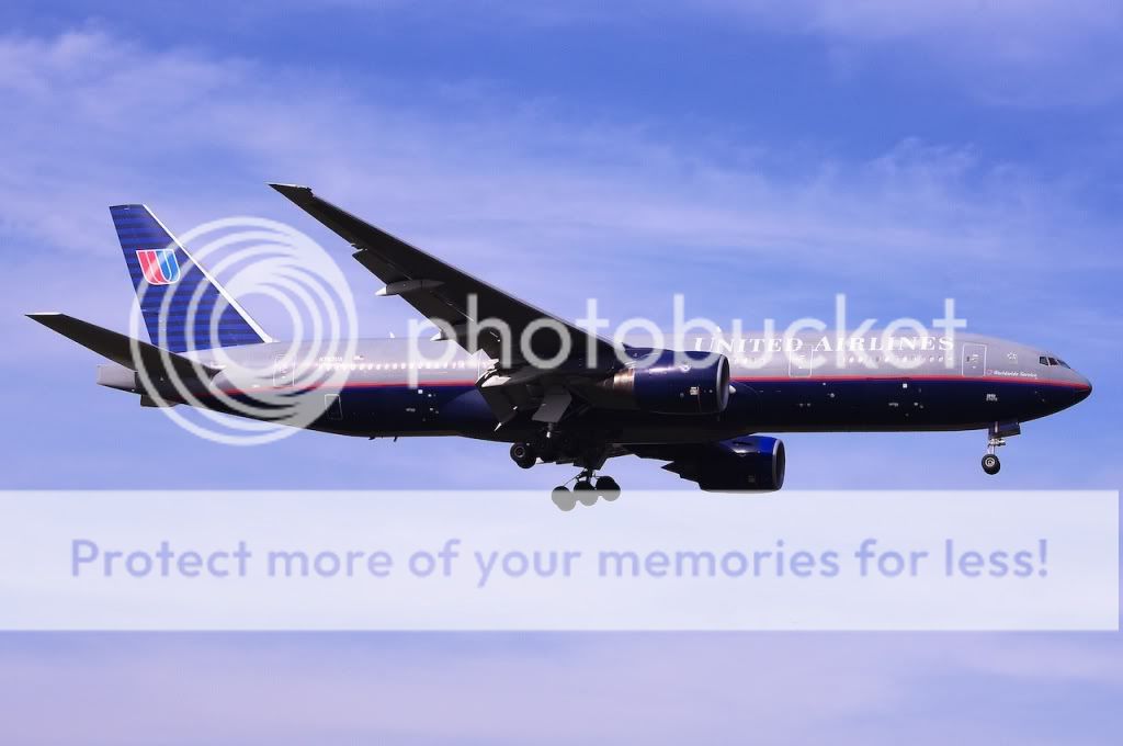 IMGP1487.jpg