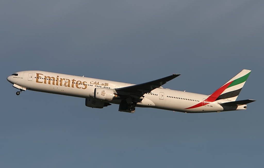 255.jpg