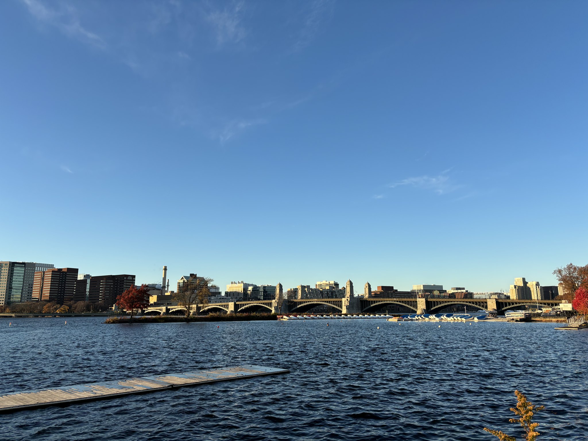 53355255160_4d8f085d10_k.jpg