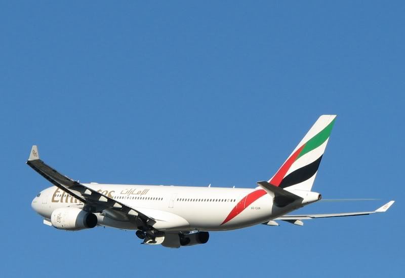 Immagine117.jpg