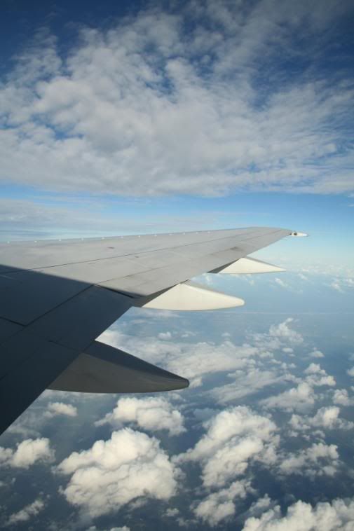 Mco052.jpg