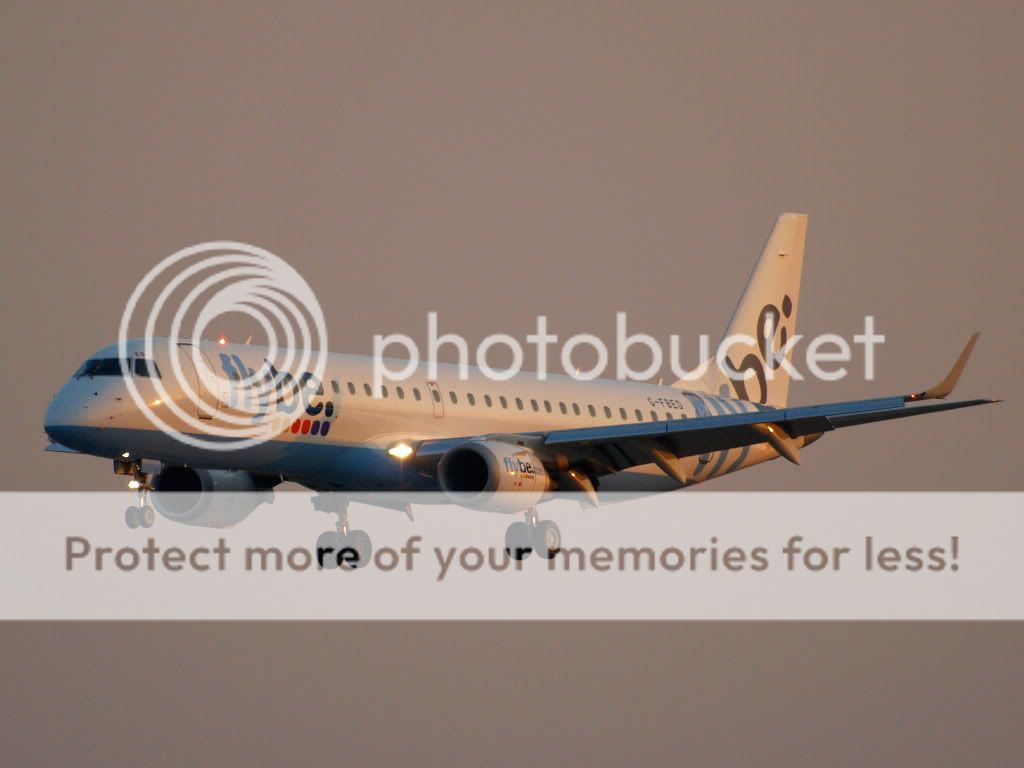 AM309735.jpg