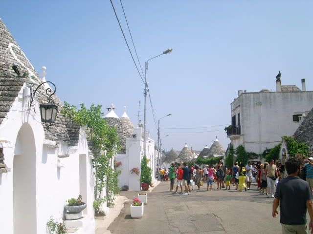 IMG_0151.jpg