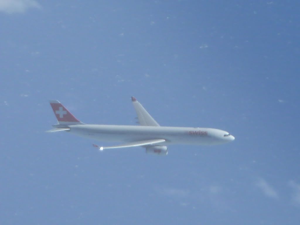 P1000324.jpg