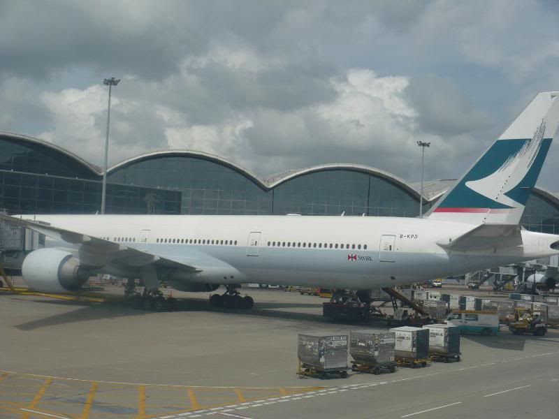 P1000340.jpg