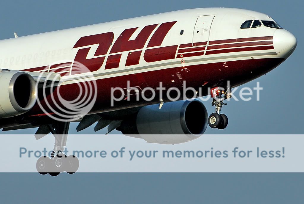 dhl.jpg
