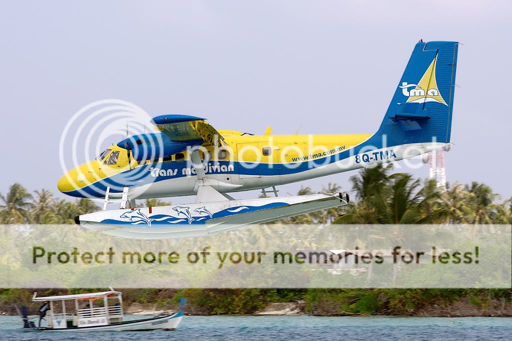8Q-TMA210310hi.jpg