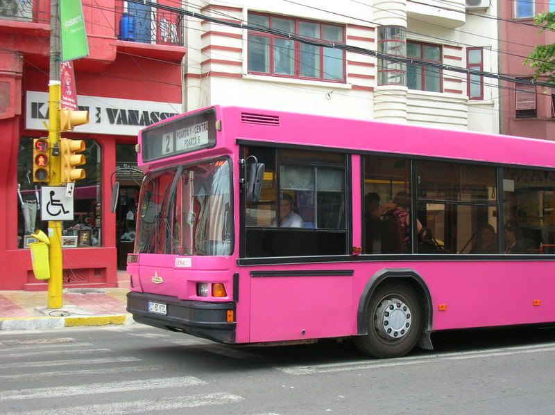DSCN6694.jpg
