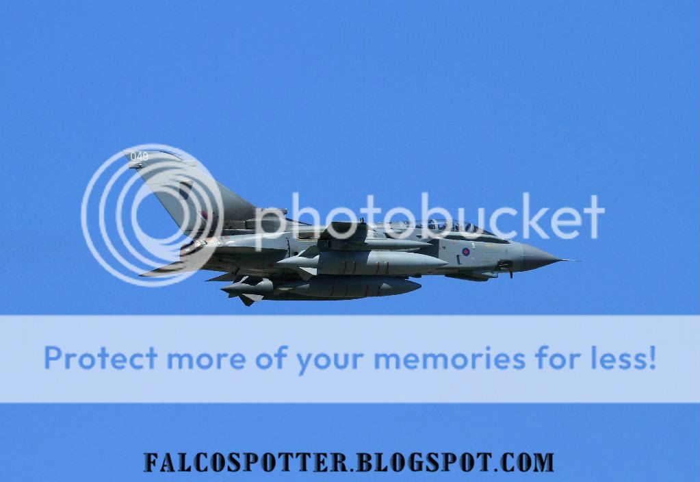 IMG_1631900.jpg