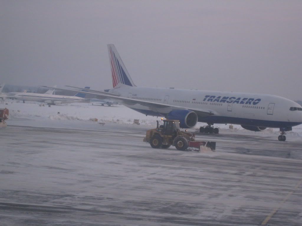 137.jpg