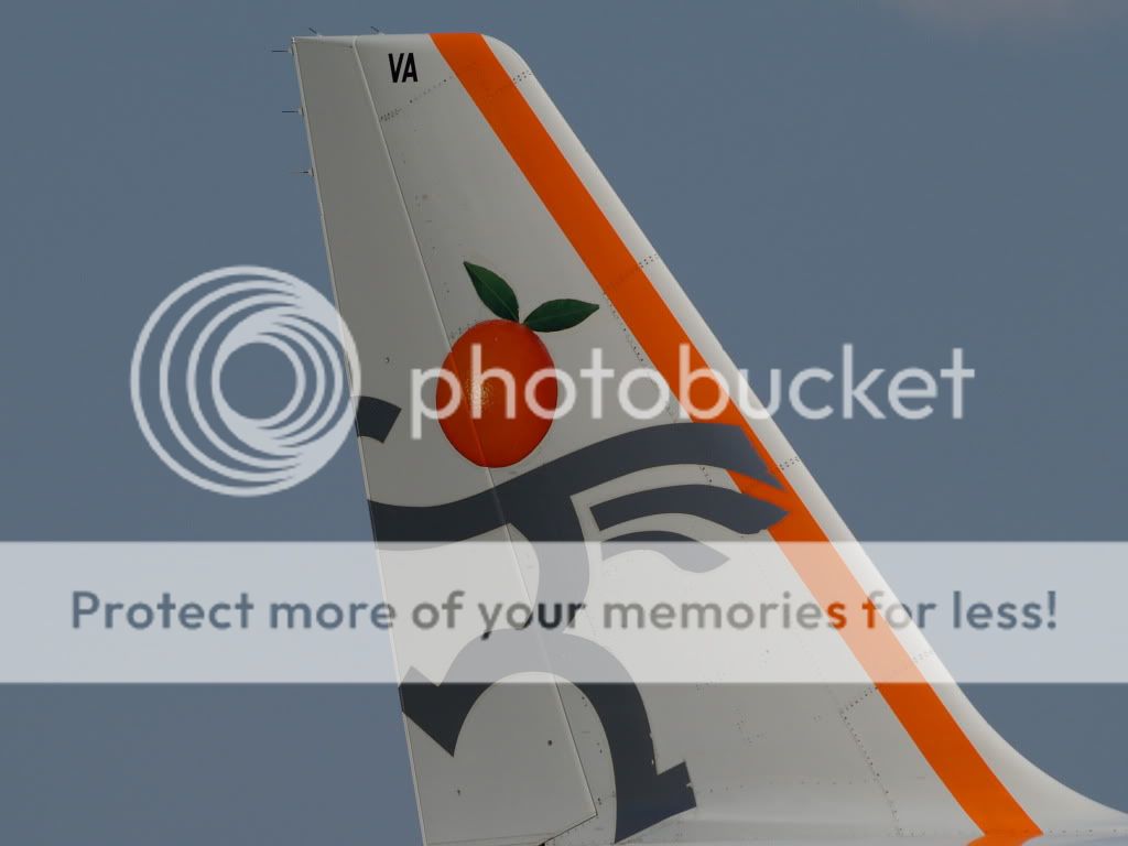 AM229495.jpg