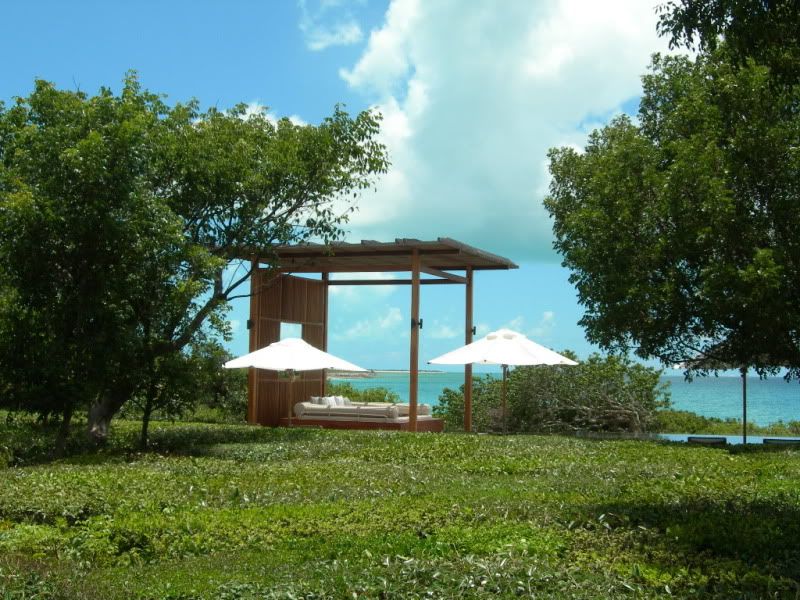 DSCN0282.jpg