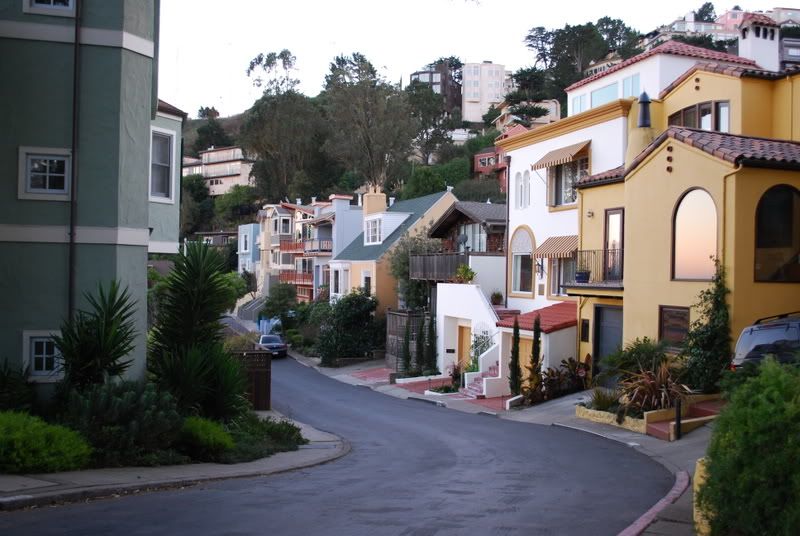 DSC_1241.jpg