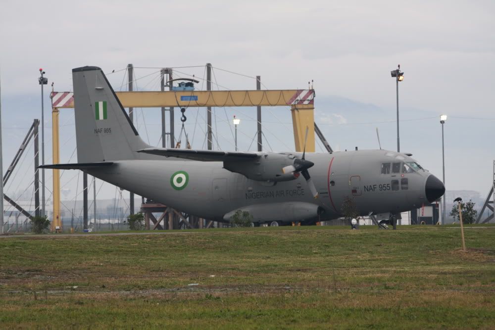 955-1.jpg