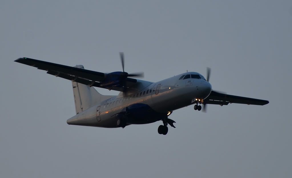 DSC_8795.jpg