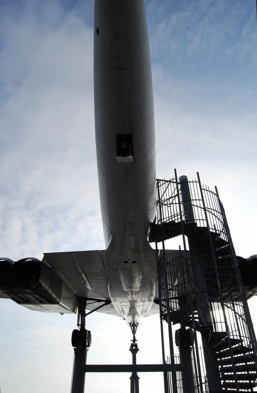 SST0008.jpg