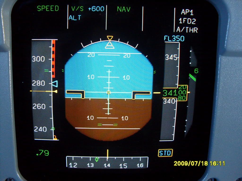 SDC10762.jpg