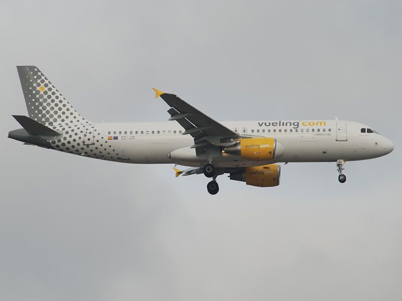 DSC_0078-1.jpg