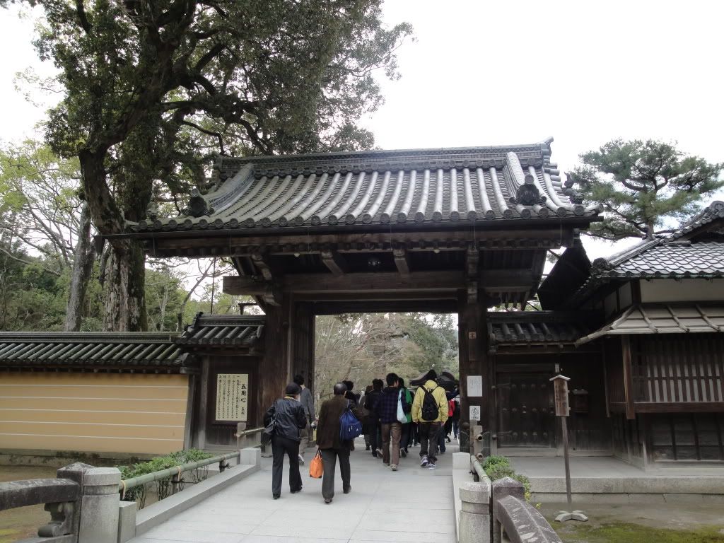 DSC01504.jpg