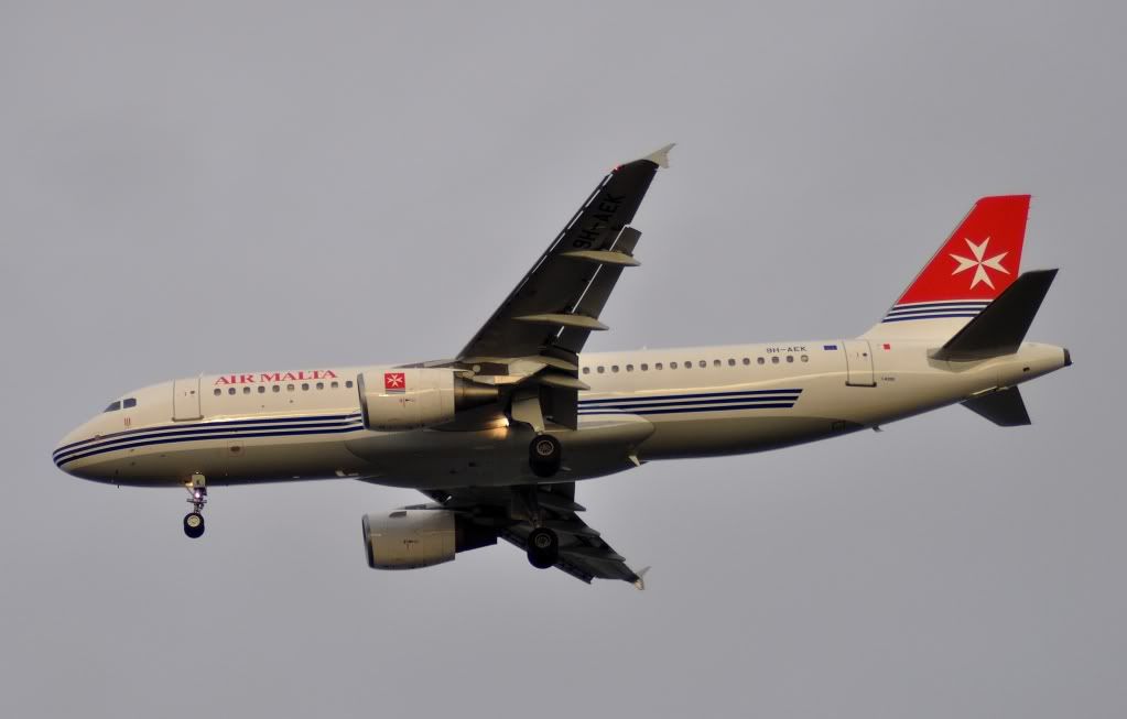 DSC_0346.jpg