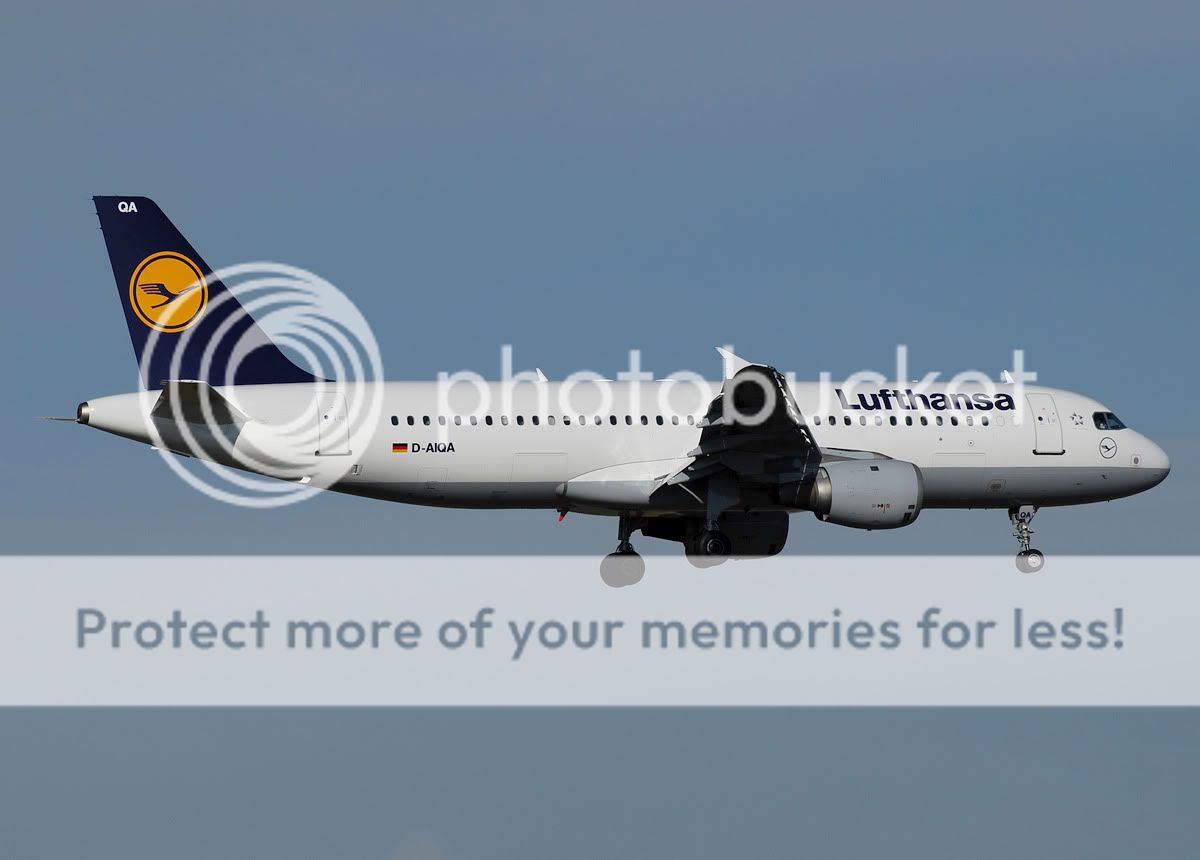 D-AIQA.jpg