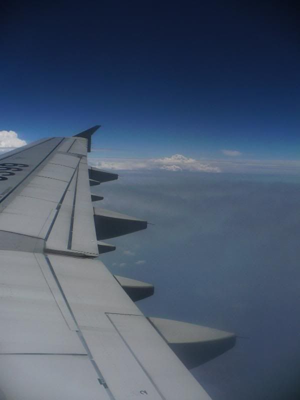 P1010651.jpg