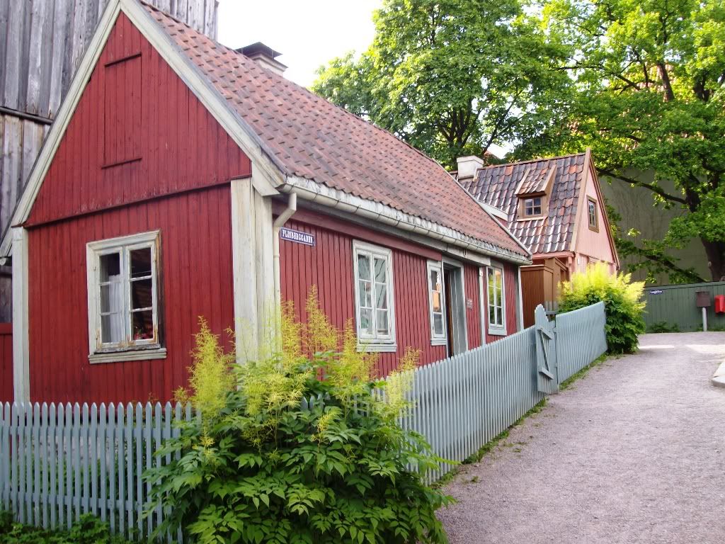 IMGP2877.jpg