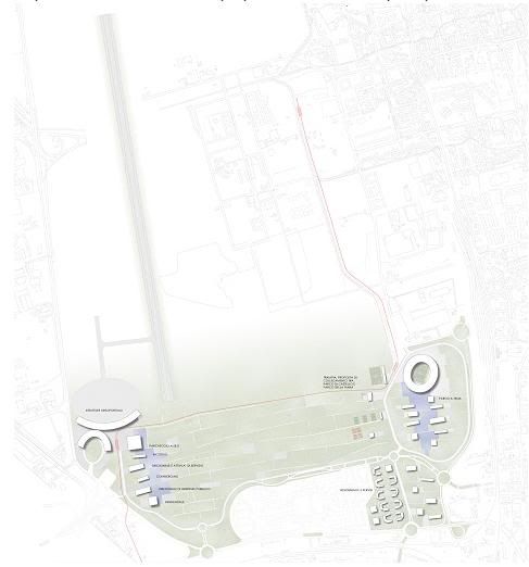 Immagine-7.jpg