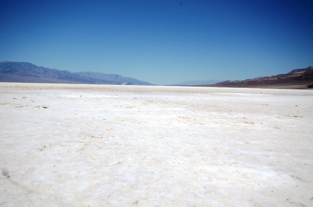 DSC_0984.jpg
