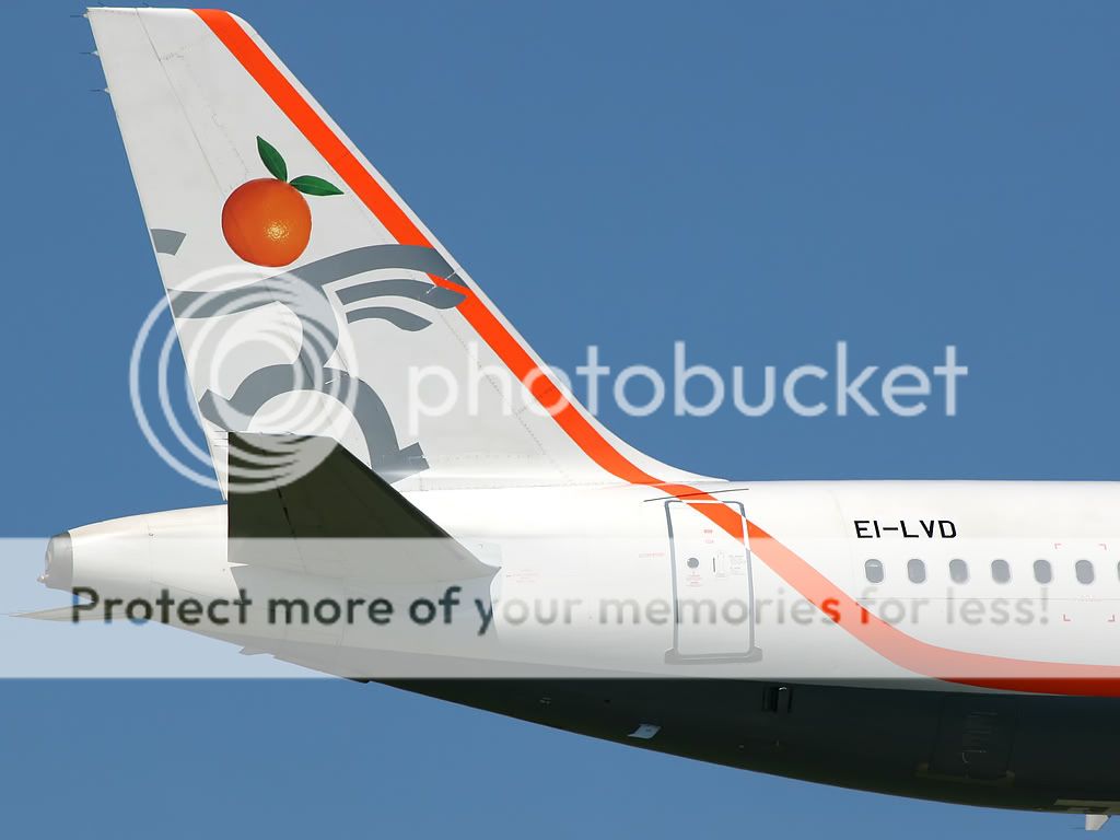 ei-lvdtail.jpg