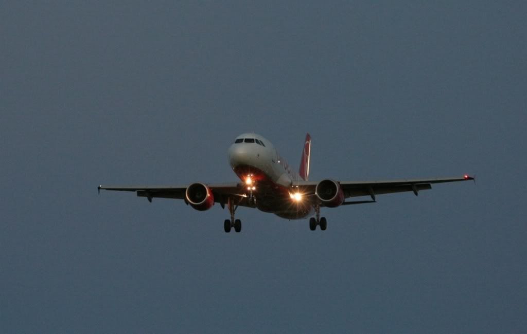080-1.jpg