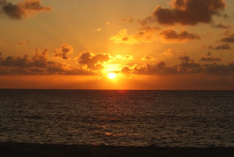 DSC01417.jpg