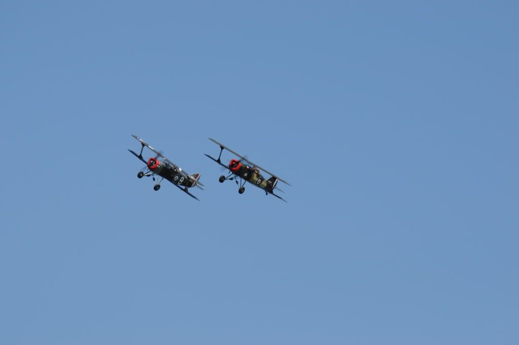 DSC_0253.jpg