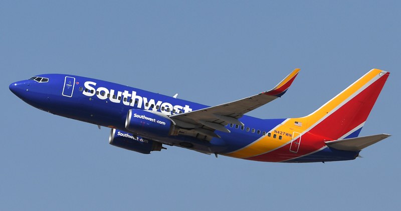 54650341499_849f157de6_c.jpg